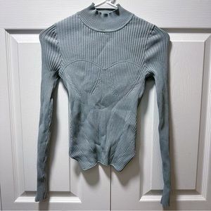 Zara turtle neck ribbed long sleeve